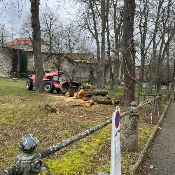Travaux de sécurisation Sarrebourg