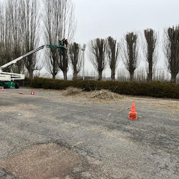 Elagage Stade de foot Sarrebourg