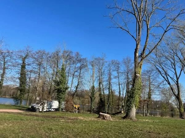Abattage d'arbre à l'étang l'Evêque Sarrebourg