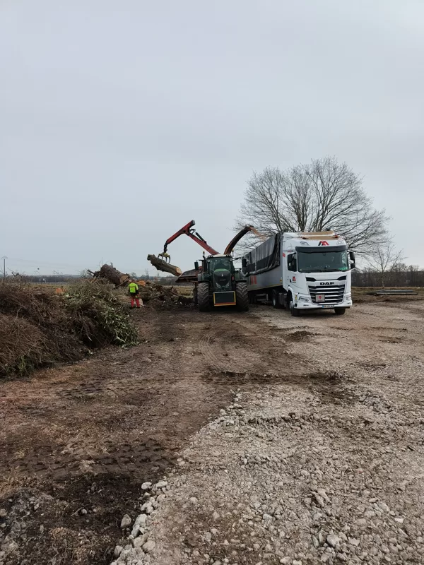 Broyage forestier
